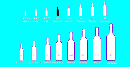 I formati di bottiglie di champagne