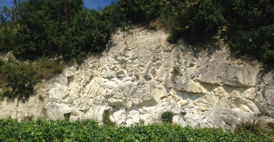 Il terroir dello Champagne